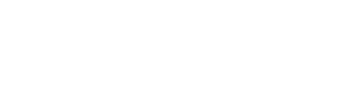 NicePayer
